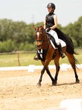 DSC03734 DSC03734