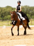 DSC03736 DSC03736