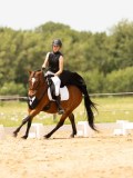 DSC03746 DSC03746