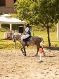 DSC07650 DSC07650