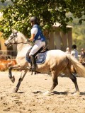 DSC07653 DSC07653