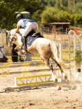 DSC07654 DSC07654