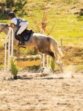 DSC07655 DSC07655