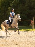 DSC07662 DSC07662