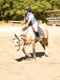 DSC07669 DSC07669