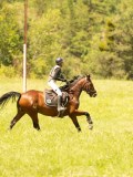 DSC00797