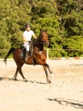 DSC08635 DSC08635
