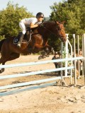 DSC08636 DSC08636