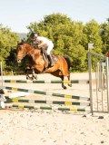 DSC08638 DSC08638