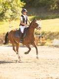 DSC08029