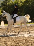 DSC04819 DSC04819