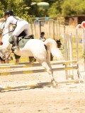 DSC06919 DSC06919