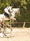 DSC06929 DSC06929
