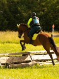 DSC08786 DSC08786