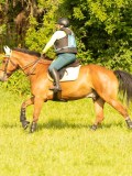 DSC08795 DSC08795