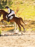 DSC07795 DSC07795