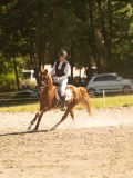 DSC07800 DSC07800