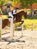 DSC07805 DSC07805