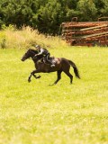 DSC00434 DSC00434