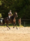 DSC08335 DSC08335