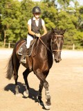 DSC08339 DSC08339