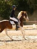 DSC05444 DSC05444