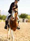 DSC05454 DSC05454