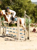 DSC07264 DSC07264