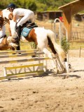 DSC07266 DSC07266