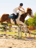DSC07269 DSC07269
