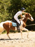 DSC07276 DSC07276