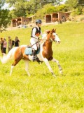 DSC09465 DSC09465