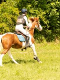 DSC09467 DSC09467