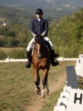 DSC05368 DSC05368