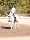 DSC01897 DSC01897