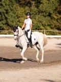 DSC01910 DSC01910