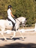 DSC01918 DSC01918