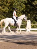 DSC01928 DSC01928