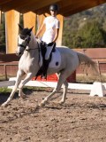 DSC01937 DSC01937