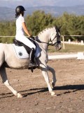 DSC01938 DSC01938