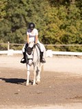 DSC01941 DSC01941
