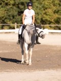 DSC01943 DSC01943
