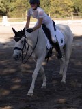 DSC01946 DSC01946