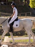DSC01947 DSC01947