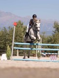 DSC04488 DSC04488