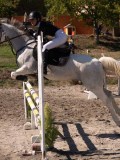 DSC04496 DSC04496