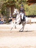 DSC04498 DSC04498