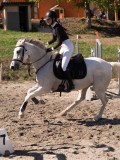 DSC04500 DSC04500
