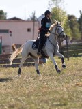 DSC05354 DSC05354