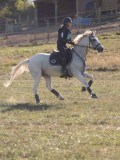 DSC05355 DSC05355